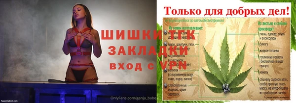 apvp Алексин