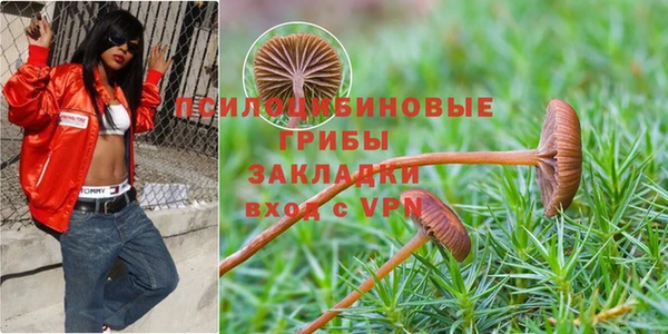 скорость Алзамай