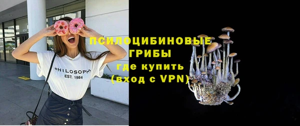 apvp Алексин