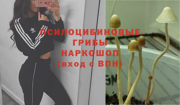 скорость Алзамай