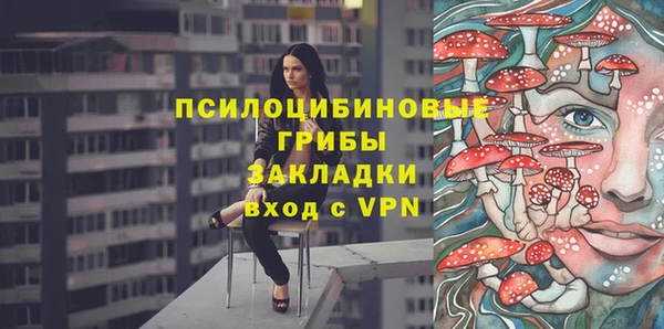 ешки Дмитровск